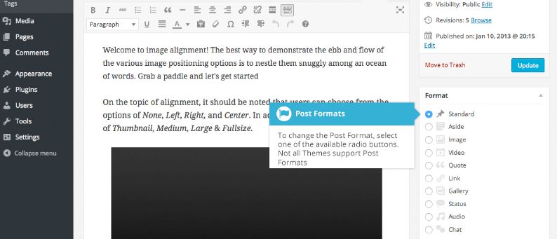 10 Jenis Format Postingan di WordPress, Sudah Tau Belum?